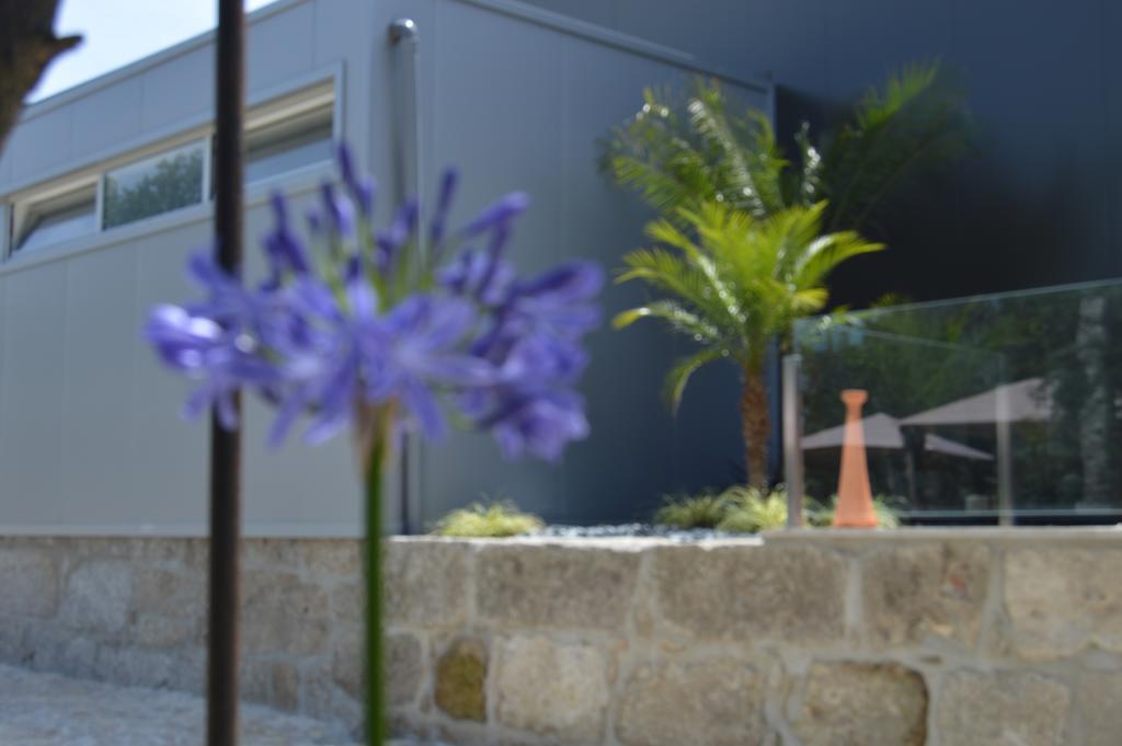 Quinta Das Tulipas Villa Barcelos Ngoại thất bức ảnh